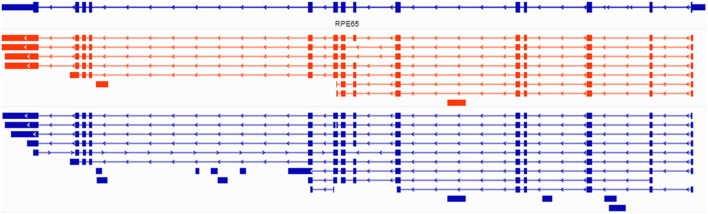 Figure 7