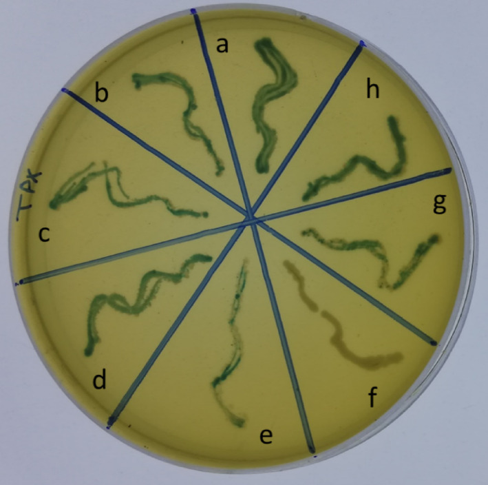 Figure 11