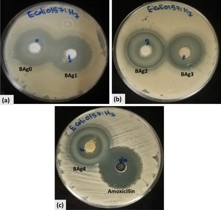 Figure 13