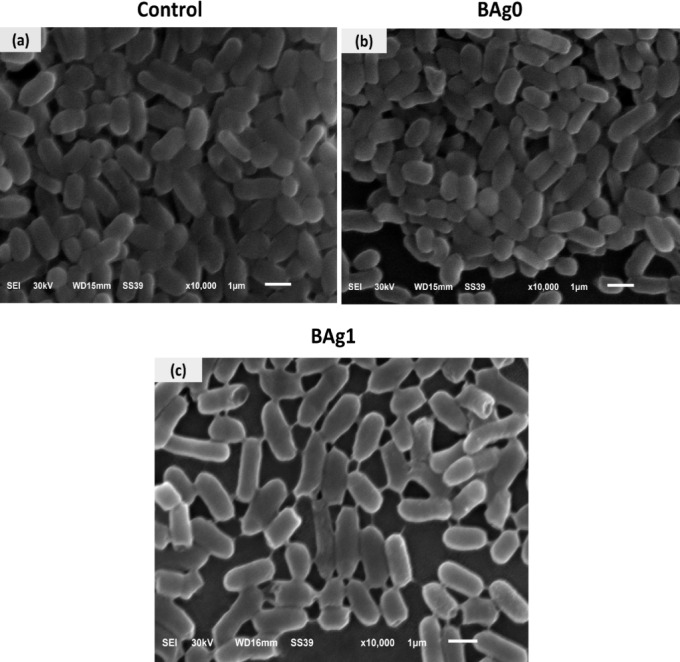 Figure 16