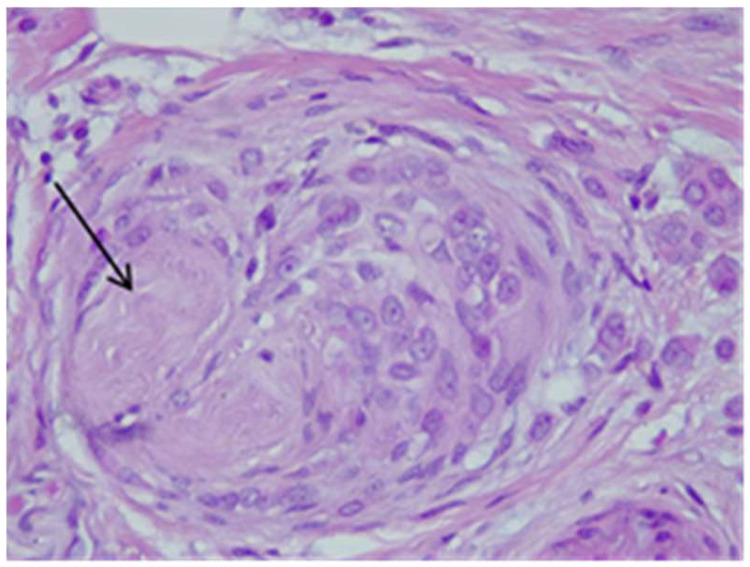 Figure 24