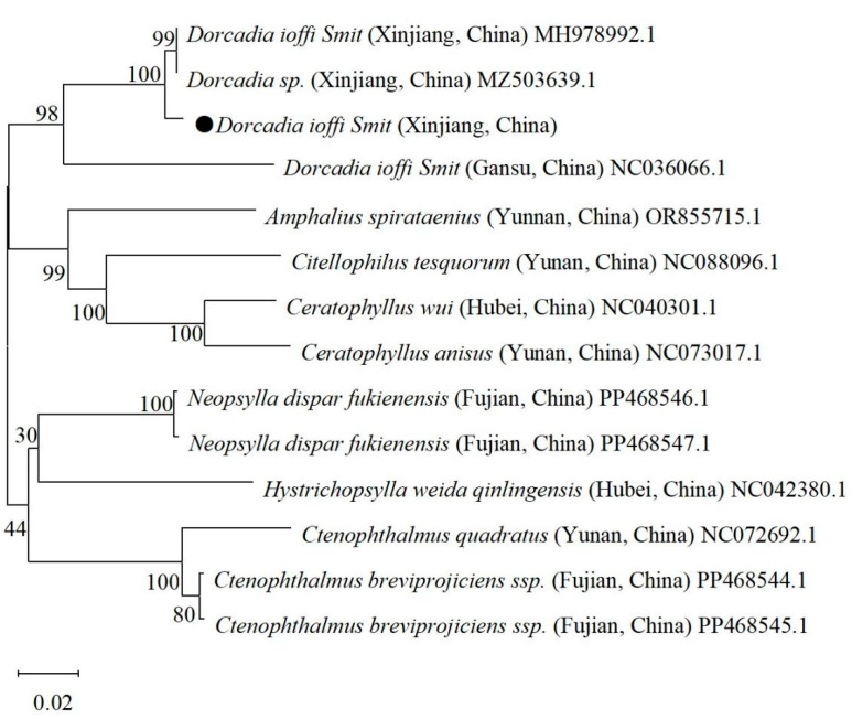 Figure 5