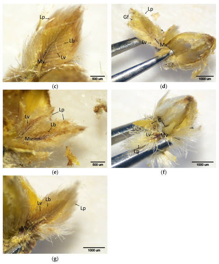 Figure 10