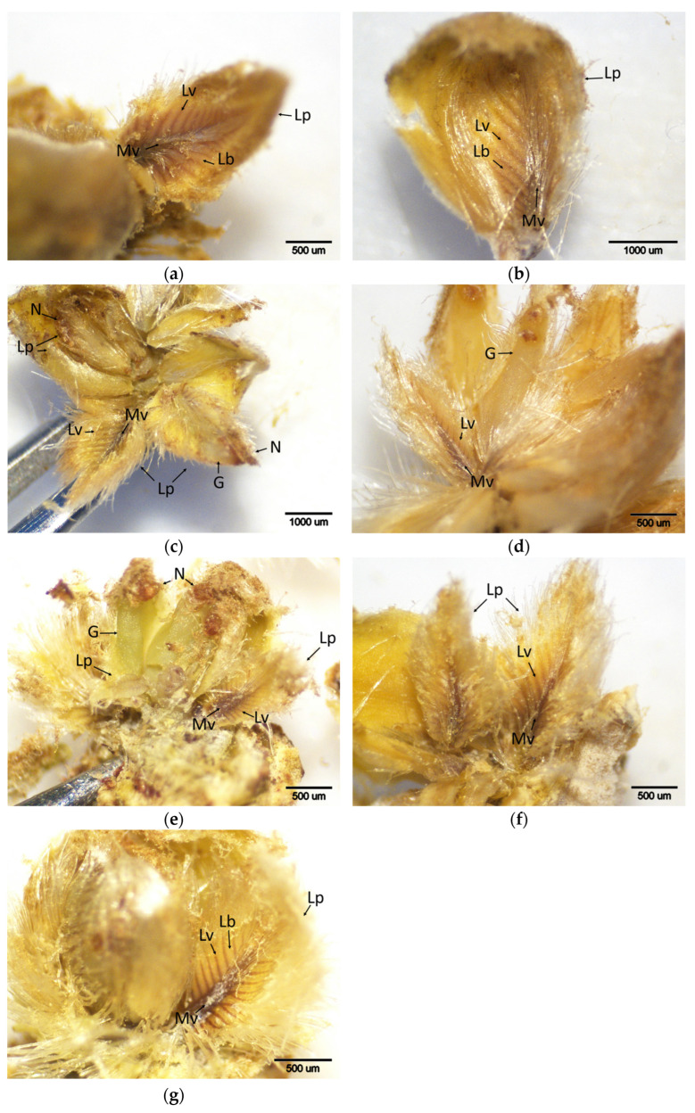 Figure 11
