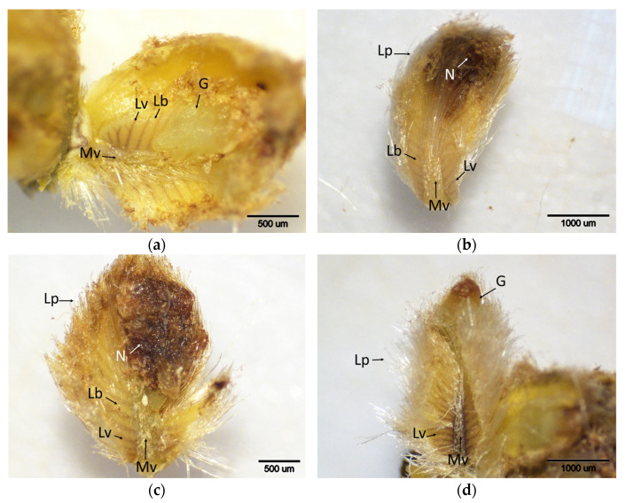 Figure 12