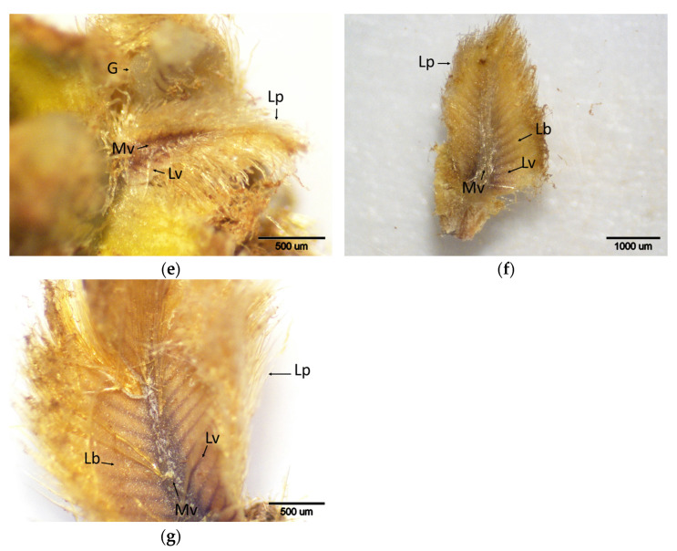 Figure 13