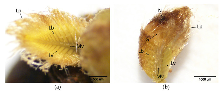 Figure 14