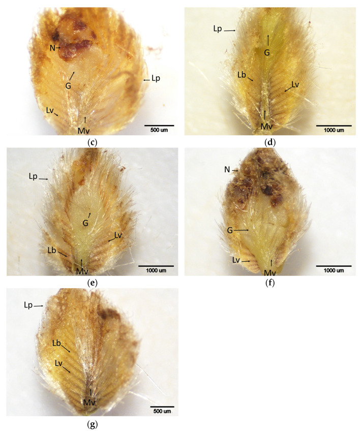 Figure 15