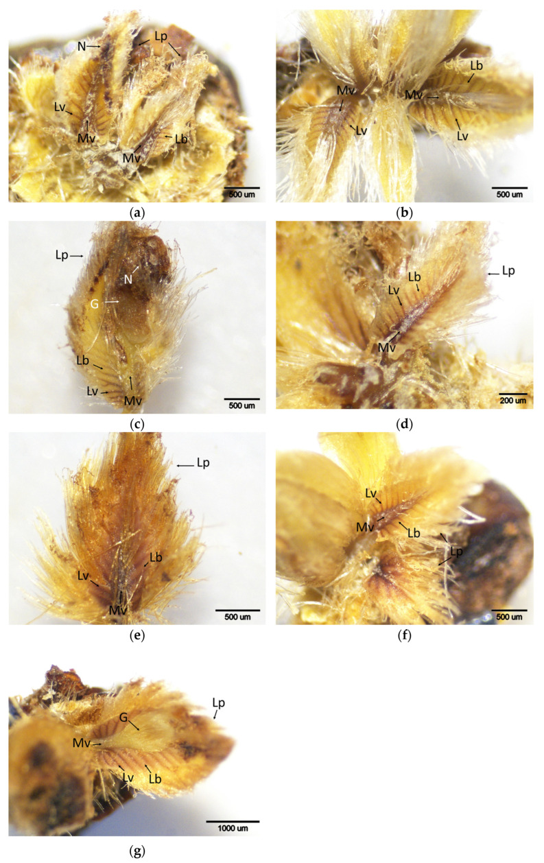 Figure 16