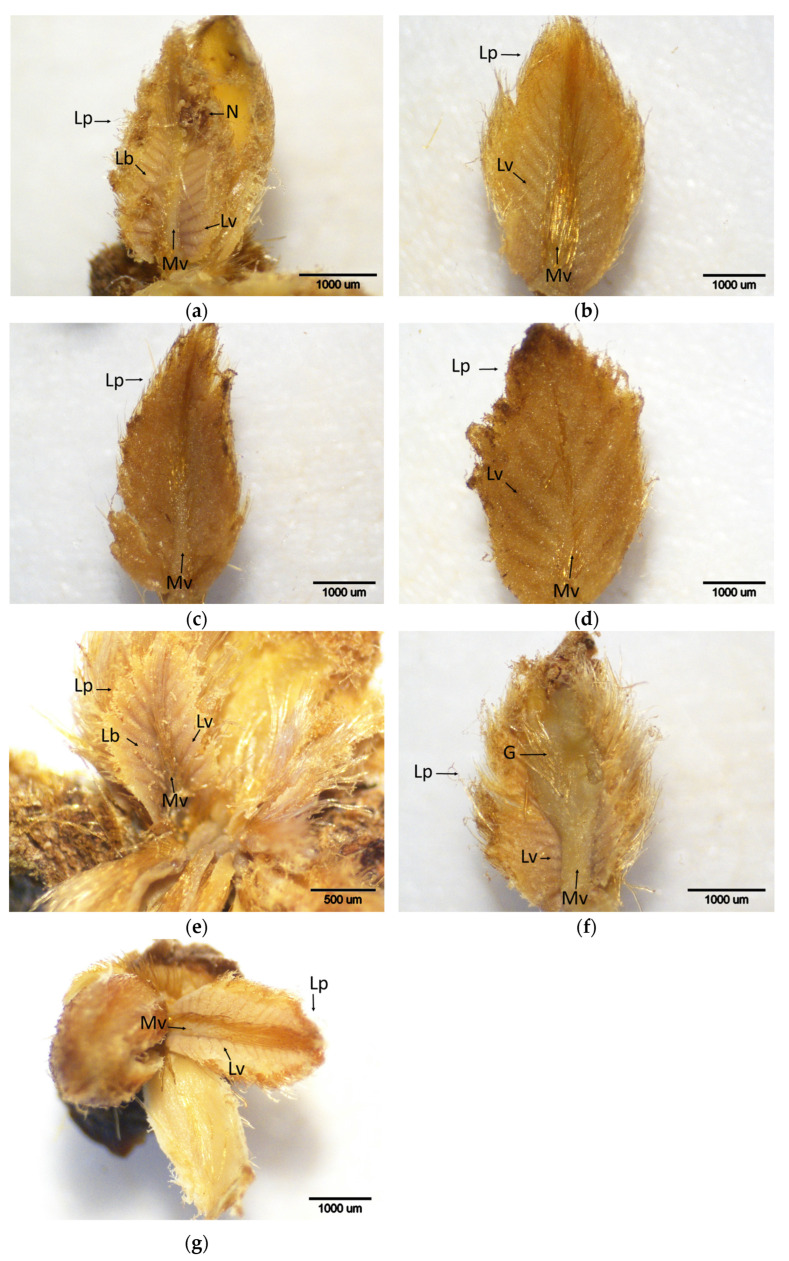 Figure 17