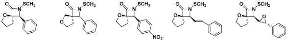 Figure 24