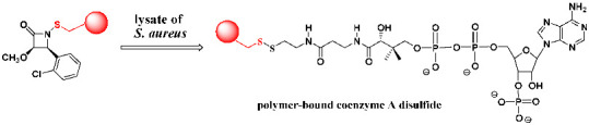 Figure 33