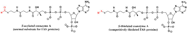 Figure 34