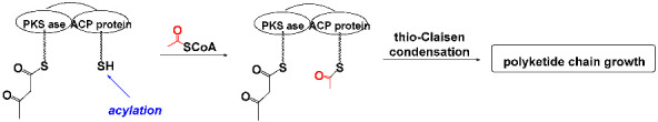 Figure 35
