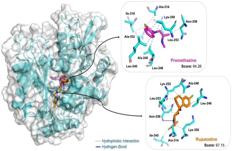 Figure 6