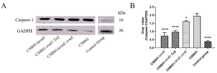 Figure 9