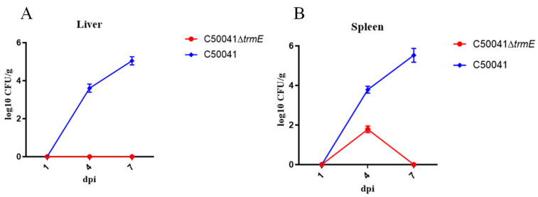 Figure 10