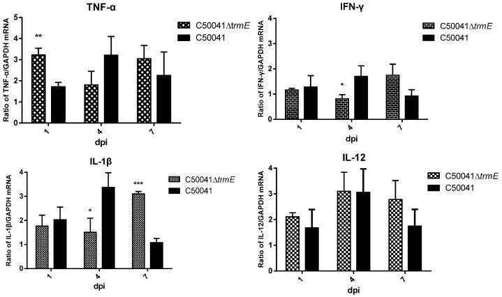 Figure 12