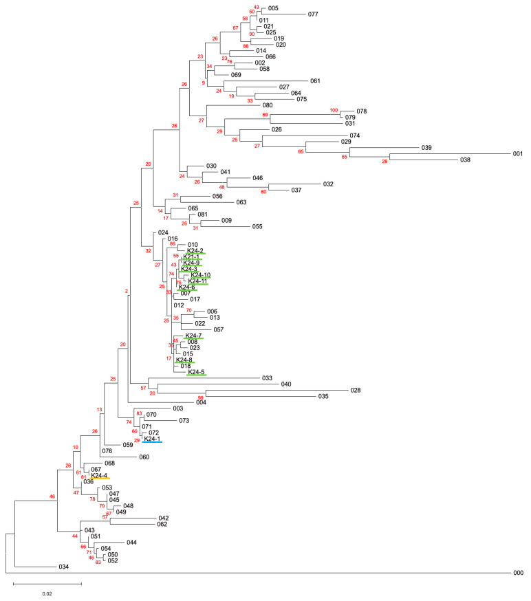 Figure 2