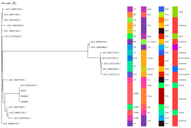 Figure 2
