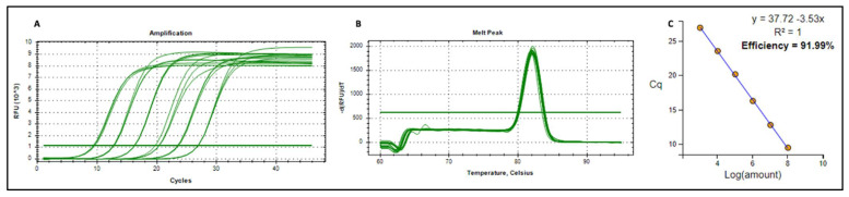 Figure 9
