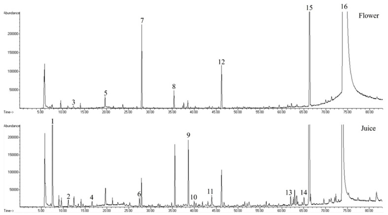 Figure 2