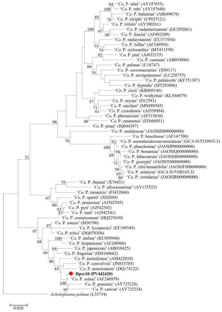 Figure 2