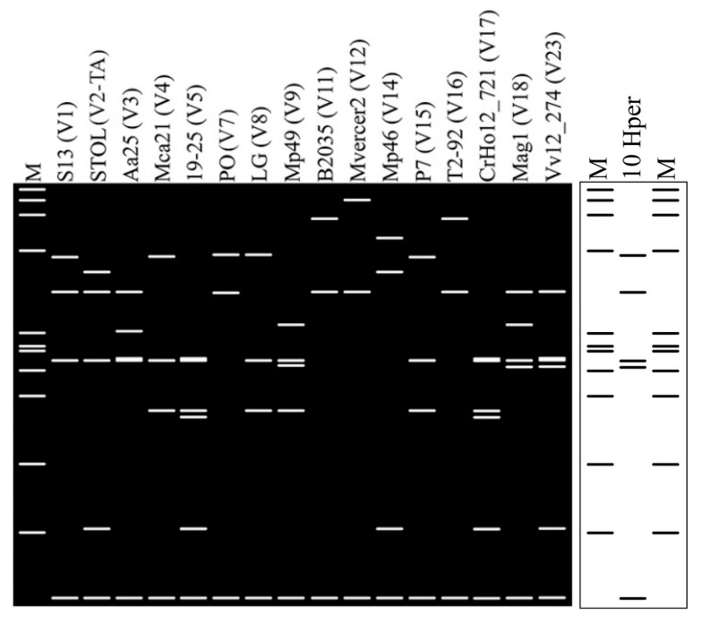 Figure 5