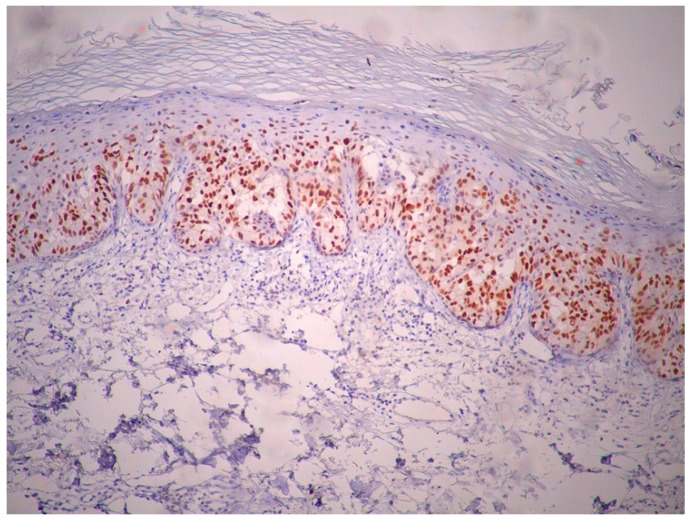 Figure 7