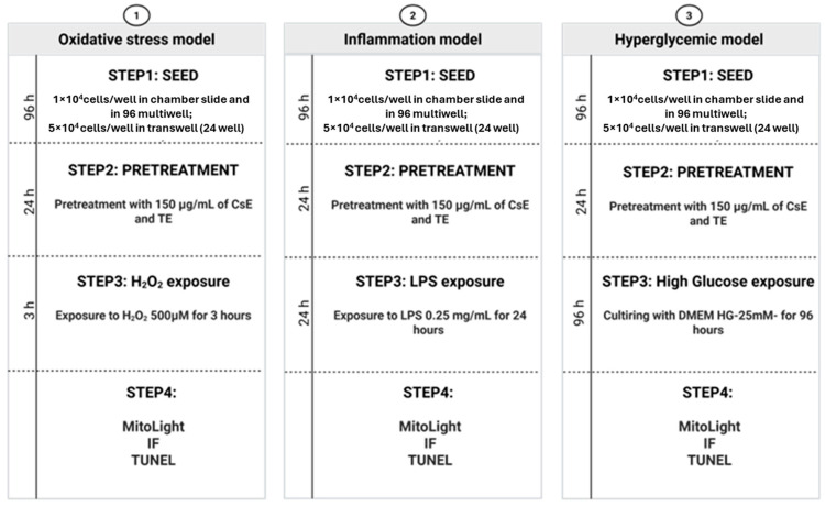 Figure 12