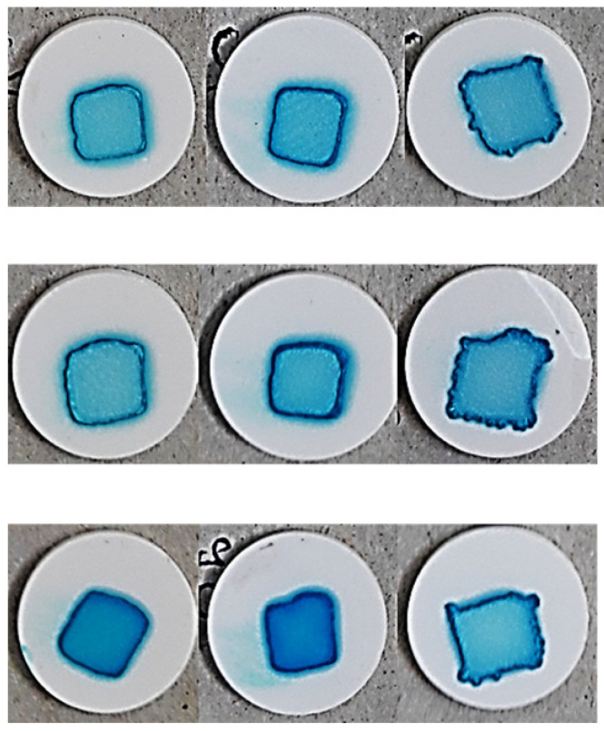 Figure 10