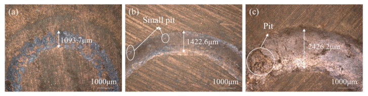 Figure 8