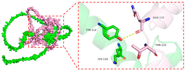 Figure 12