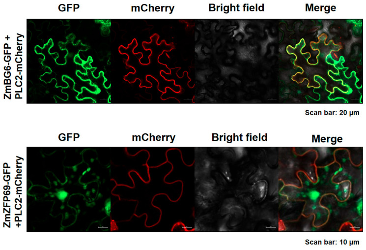 Figure 13