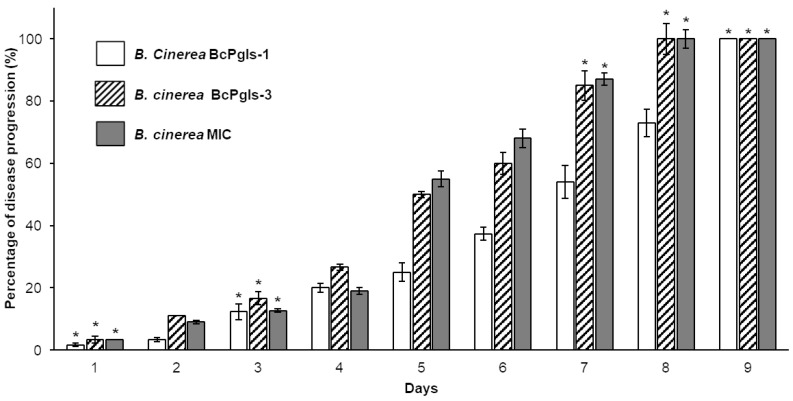 Figure 5
