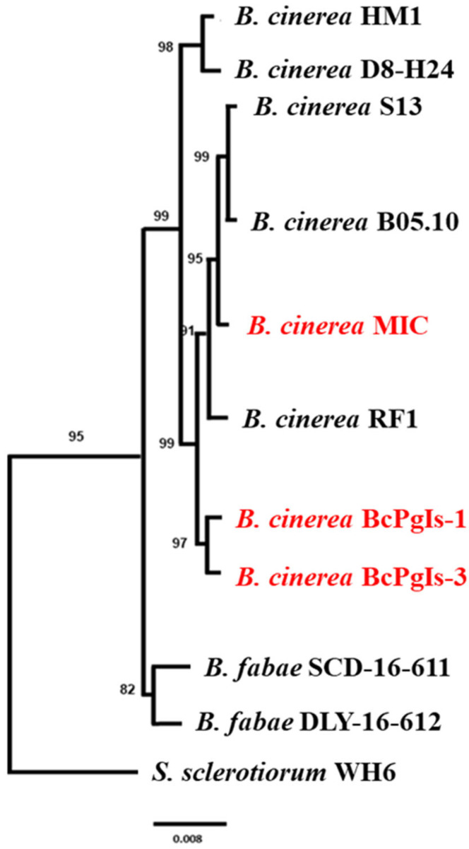 Figure 6