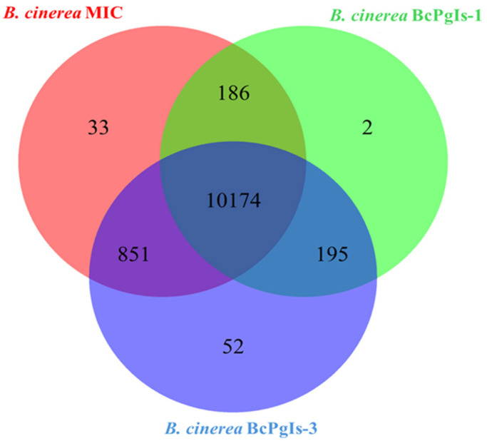 Figure 9
