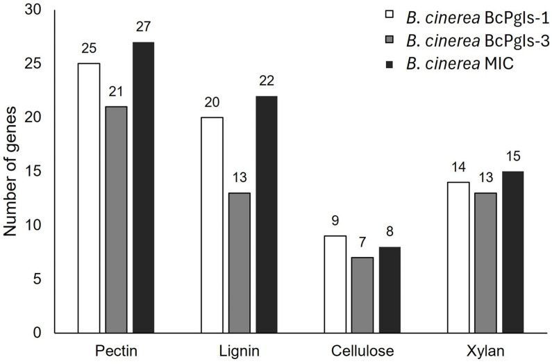 Figure 10