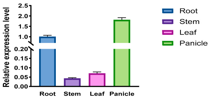 Figure 5