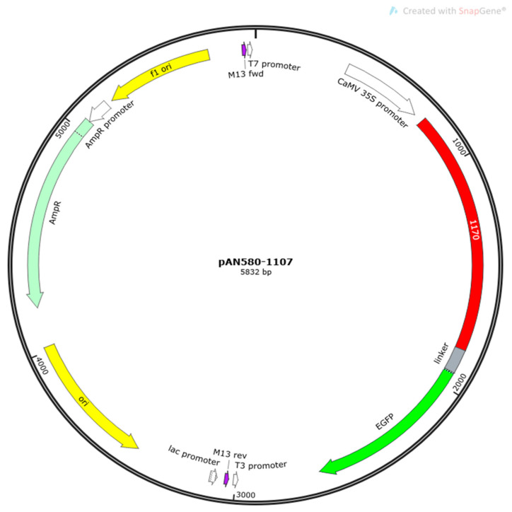 Figure 16