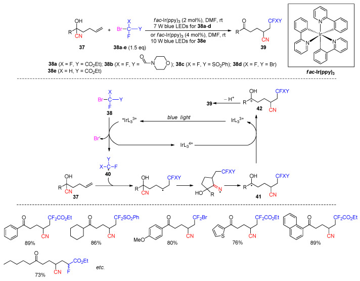 Scheme 16