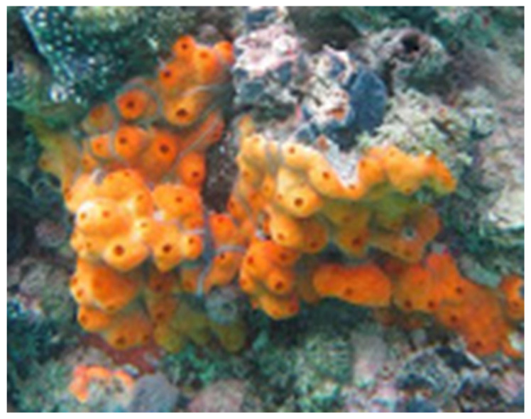 Figure 10