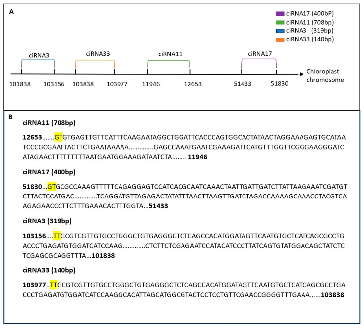 Figure 14