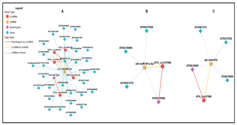 Figure 15