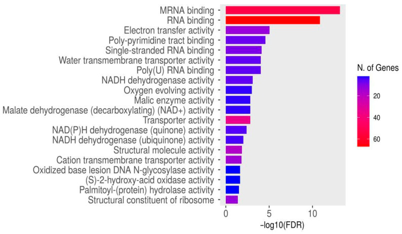 Figure 16