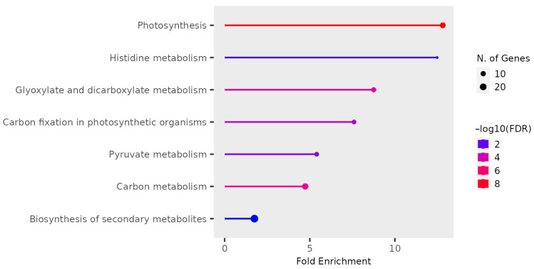 Figure 17