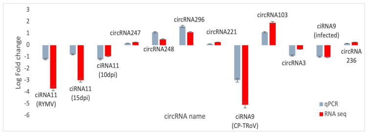 Figure 18