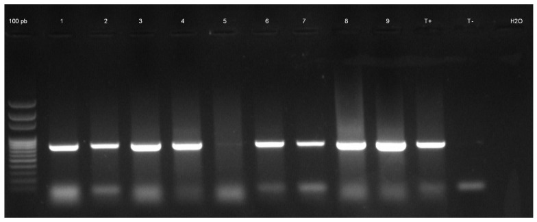 Figure 4