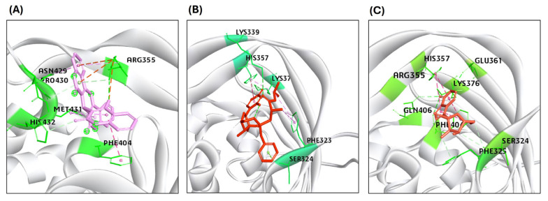 Figure 5