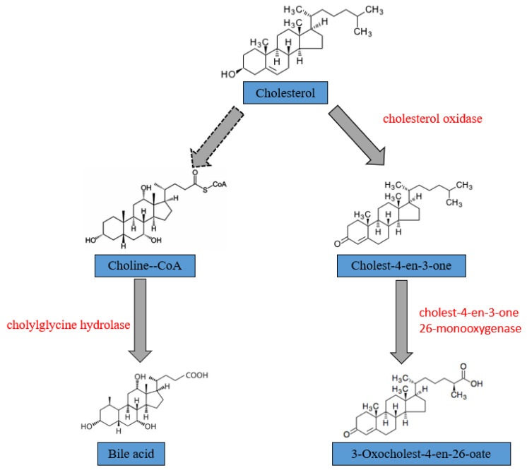 Figure 7